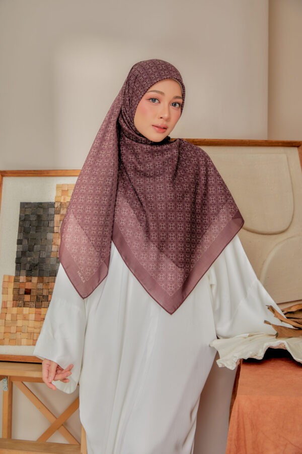 HAFSA - Image 2